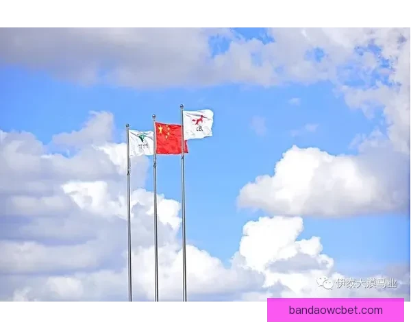 世界杯竞猜胜负挑战赛开启，赢取丰厚奖品，尽享激烈赛事竞猜乐趣